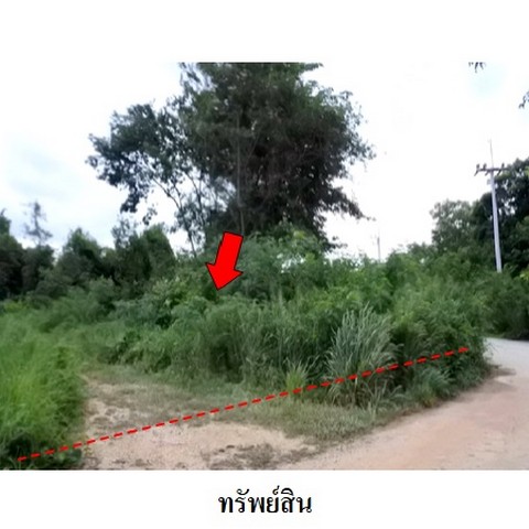 ขายที่ดินว่างเปล่าโครงการ สวนวลีแลนด์ 4 ถ.สายบางละมุง-ระยอง ทับมา เมืองระยอง ระยอง