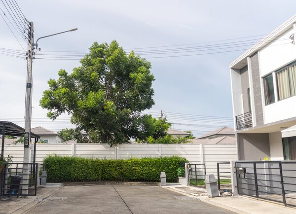 ขายด่วน!! ทาวน์โฮมหลังมุม โครงการพลีโน่ รังสิต คลองสี่-วงแหวน 25.9ตรว