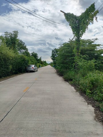 ขายที่ดินเปล่า เนื้อที่ 2 ไร่ (800 ตารางวา) ซอยบึงบอน 10 อ.หนองเสือ จ.ปทุมธานี(รหัสทรัพย์ที่ : 50039)Google map: https://maps.app.goo.gl/bVQC46hPyArbXkyVAรายละเอียด•ที่ดินเปล่า เนื้อที่ 2 ไร่ (800 ตารางวา) ซอยบึงบอน 10•หน้ากว้าง 50 เมตร ลึก 60 เมตร•ถมเสมอถนน ถนนในซอยกว้าง 6 เมตร•ใกล้โรงเรียน จุฑารัตน์วิทยา•ห่างถนนเลียบคลอง 9 เพียง 700 เมตร•ห่างถนนรังสิต-นครนายก เพียง 5.5 กม.ขายไร่ละ 2,000,000  บาท*** ราคารวมยกแปลง 4 ล้านบาท***ติ