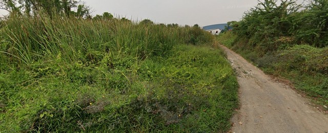 ขายที่ดินแปลงสวย ทำเลดี ย่านชุมชน กรุงเทพกรีฑา20 สามารถเข้าออกได้หลายทาง เหมาะสำหรับทำที่อยู่อาศัย หรือ ร้านอาหาร คาเฟ่-พื้นที่ดิน : สีเหลือง 348 ตารางวา ราคาเพียง 22,620,000.- (ลดจากราคาขาย จากตารางวาละ 80,000.- เหลืองเพียงตารางวาละ 65,000.- เท่านั้น)-เดินทางสะดวก เข้า-ออก ได้ทั้ง 2เส้น (กรุงเทพกรีฑา และ เลียบทางด่วนมอเตอร์เวย์)สถานที่ใกล้เคียง-โรงเรียนนานาชาติเวลลิงตัน 1.3km-ฉั่ว