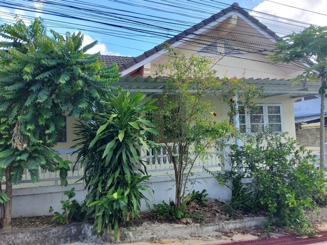 ขายบ้านเดี่ยวมือสอง              อำเภอสัตหีบ  ชลบุรี