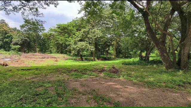 ขายที่ดินวิวภูเขา บ้านปง หางดง เชียงใหม่  ธรรมชาติร่มรื่น อากาศเย็นสบายตลอดปี ที่ตั้ง: ตำบลบ้านปง อำเภอหางดง จังหวัดเชียงใหม่ ขนาดที่ดินเริ่มต้น: 1 ไร่ 1 งาน 58 ตารางวา ราคา: 13,000 บาท/ตร.วา ราคารวม: 7,254,000 บาท (พร้อมโอน) จุดเด่นของที่ดินที่ดินสวยกลางธรรมชาติ โอบล้อมด้วยภูเขาและป่าไม้เขียวขจีอากาศเย็นสบายตลอดปี บรรยากาศเงียบสงบ เหมาะสำหรับพักผ่อนและใช้ชีวิตอย่างเร