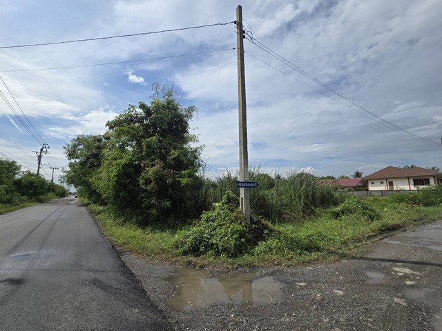 ขายด่วน ที่ดินเปล่า 1.5 ไร่ ขุมทอง-ลำต้อยติ่ง 5 แปลงมุมติดถนน เหมาะทำโกดัง/บ้านพัก