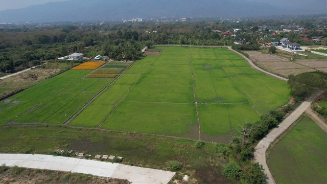 ขายที่ดินเขตอำเภอเมือง เชียงใหม่ วิวเขา  **เริ่มต้น 85 ตร.วา ราคาถูก** เจ้าของขายเอง!   รายละเอียดทรัพย์สิน  - ที่ดินเปล่า เหมาะสร้างบ้านหรือ Pool Villa   - ทำ **โฮมออฟฟิศได้   - อยู่ในเขตเมืองเชียงใหม่ บรรยากาศอบอุ่น สังคมดี   - เพื่อนบ้านคุณภาพ เช่น หมอ พยาบาล เภสัช วิศวกร อาจารย์ นักธุรกิจ  - สิ่งแวดล้อมดี ความปลอดภัยสูง เดินทางสะดวก   เหมาะสำหรับ - ที่อยู่อาศัยในเชียงใหม่  - โฮม