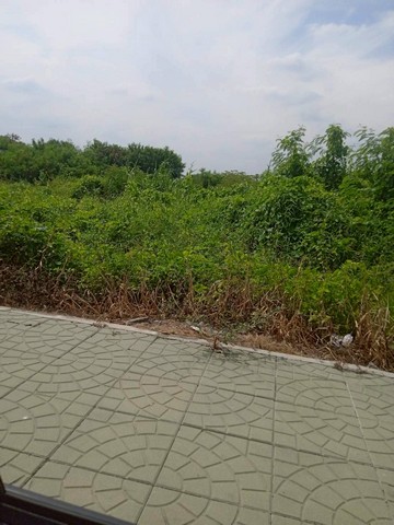 ขายที่ดินสวย ปทุมสายใน หน้ารร.ปทุมนันทมุนีบำรุง เหมาะสร้างโครงการ ขนาด 15 ไร่ เพียงไร่ละ 6.5 ล้าน!