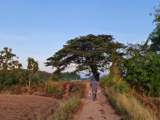 มูลค่าทวีเพิ่มพูนทรัพย์ในดิน ที่ติดแม่น้ำโขง ต.กุดบง อ.โพนพิสัย จ.หนองคาย  หลังติดแม่น้ำโขง ไร่ละ 2ล้านบาท โทร 096-882-1857