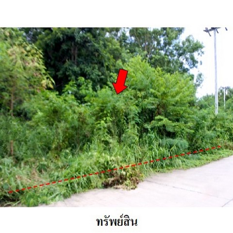 ขายที่่ดินว่างเปล่าโครงการ สวนวลีแลนด์ 4 ถนน สายบางละมุง-ระยอง (ทล.36) ตำบล ทับมา อำเภอ เมืองระยอง จังหวัด ระยอง