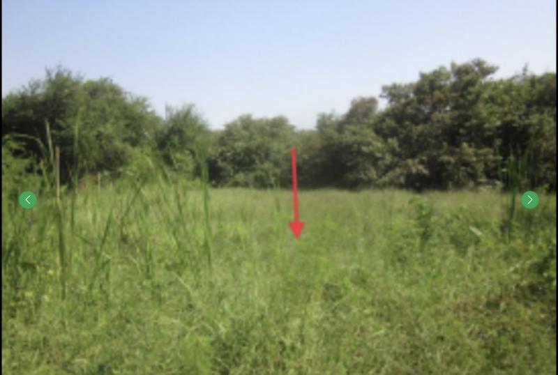 ขายที่ดินเปล่า 7 ไร่ 96 ตรว. เจ้าของขายเอง นิคมอุตสาหกรรมแห่งใหม่นิคม บลูไฮเทคและนิคมอมตะนคร พานทองชลบุรี