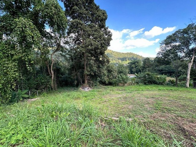 ที่ดินติดถนนหางดง สะเมิง ที่ดินเนินเขา วิวภูเขา           