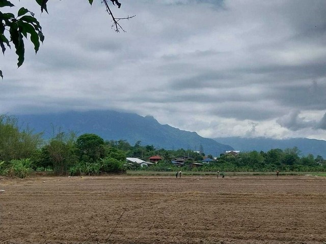 ที่ดินสวย บรรยากาศดี วิวภูเขาสวย โซนเชียงดาว           