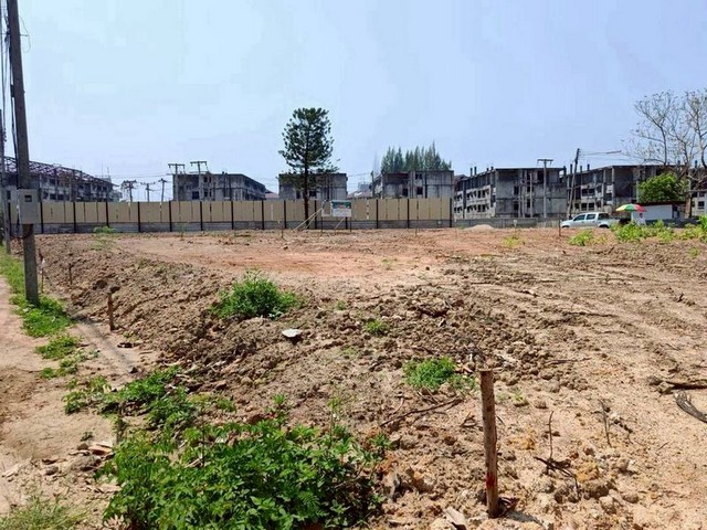 ที่ดินแปลงสวย วิวสวย หมู่บ้านพฤกษาดอยคำ หางดง โซนพืชสวนโลก