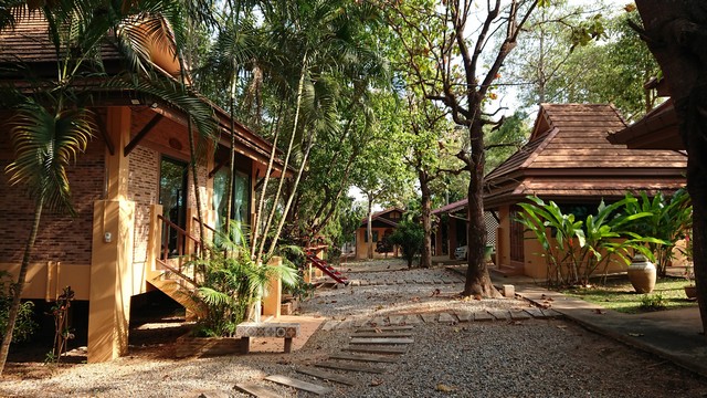 ขายบ้านพร้อมที่ดินสไตล์รีสอร์ท แม่ริม – ใกล้โรงเรียนเปรม ขายขาดทุน! จาก 15 ล้าน เหลือเพียง 10,000,000 บาท โอนคนละครึ่ง บ้านพร้อมที่ดินขนาดใหญ่ 2 ไร่ 2 งาน 17 ตรว.ภายในมีบ้านทั้งหมด 6 หลัง 4 ห้องนอน 6 ห้องน้ำ โรงรถในบ้าน (จอดได้ 4 คัน) ลานจอดรถด้านนอกเพิ่มอีก 4 คันบรรยากาศร่มรื่นเป็นธรรมชาติ สไตล์รีสอร์ท เหมาะทั้งอยู่อาศัยแบบครอบครัวใหญ่ หรือทำพูลวิลล่า/โฮมสเตย์/รีสอร์ทได้