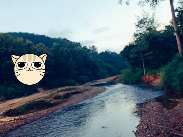 ที่ดินวิวสวยทำเลเหมาะอากาศดี  ขายที่ดินติดลำธารน้ำใสไหลริน ชุ่มฉ่ำตลอดปี สวยวิวล้าน 800000บาท 3-0-35ไร่ อำเภอสันติสุข น่าน