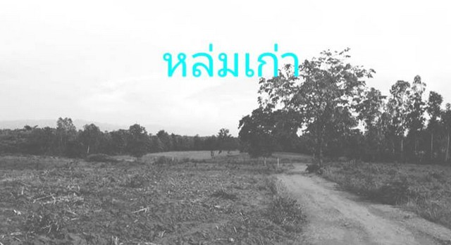 ที่ดินวิวสวยทำเลเหมาะอากาศดี ธรรมชาติเนินเขา ที่ดินโฉนดแบ่งขาย หล่มเก่า เพชรบูรณ์ ใกล้ภูทับเบิก โทร 0968821857