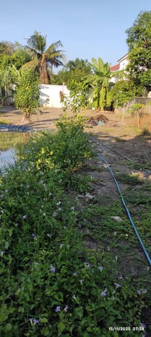 M650497ขายที่ดินทำเลดี ลำลูกกา เลียบคลอง 3 ซอย 4 (งามจิตต์สุขศรี) เนื้อที่ 148 ตารางวาราคาเพียง 15,000 บาทต่อ ตร.ว. เท่านั้น!ที่ดินถมสูงกว่าถนนประมาณ 20–30 ซม. พร้อมล้อมรั้วลวดหนามเรียบร้อยภายในแปลงมีบ่อเก็บน้ำขนาด 2×5 ม. ลึก 60 ซม. และปลูกผักผลไม้หลากหลาย เช่นกล้วย อ้อย มะละกอ มะม่วง มะนาว มะพร้าว ตะไคร้ อ่อมแซบ ฯลฯเหมาะสำหรับทำสวน บ้านพักตากอากาศ หรือเก็บไว้ลงทุนในอนาคตทำเล