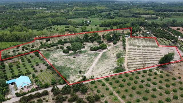 ขายที่ดินวิวภูเขาพร้อมสวนผลไม้และระบบน้ำครบวงจร – อำเภอแม่วาง จังหวัดเชียงใหม่เนื้อที่รวม: 29 ไร่ 2 งาน 61 ตารางวาราคา: ไร่ละ 370,000 บาทราคารวมยกแปลง: 10,971,425 บาท(เฉลี่ยเพียง 925 บาท/ตร.ว. — คุ้มมากสำหรับทำเลนี้)???? ที่ตั้ง: ตำบลทุ่งปี๊ อำเภอแม่วาง จังหวัดเชียงใหม่⭐ จุดเด่นของทรัพย์ที่ดินติดถนนลาดยาง หน้ากว้างประมาณ 190–210 เมตร เดินทางสะดวกติดห้วยน้ำดิบ เพิ่มศักยภาพด้านน้ำ