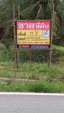 ขายที่ดินสวนมะพร้าว 19 ไร่  ติดคลองและถนนดำ บ้านแพ้ว ซอยทุ่งเศรษฐี   สมุทรสาคร