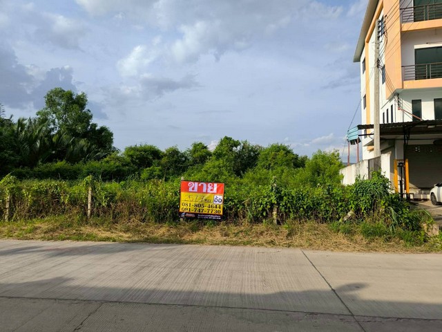 ขายที่ดิน 257 ตร.วา ต. พันท้ายนรสิงห์  ใกล้โรงเรียนอัสสัมชัญสมุทรสาคร 