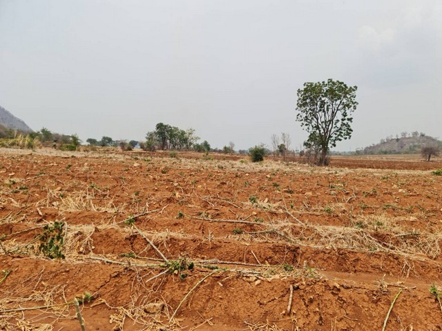 บอกขายที่ดินดีทำเลเหมาะน่าซื้อเก็บ ที่ดินติดภูเขา ต.พระนอน อ.เมือง จ.นครสวรรค์ วิวสวยมากๆๆ 5ไร่เศษ โทร 096-882-1857