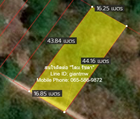 พื้นที่ดิน ที่ดินเกาะพีพี จ.กระบี่ ขนาด 0 Rai 1 Ngan 68 ตร.วา  4000000 BAHT. ด่วนๆ