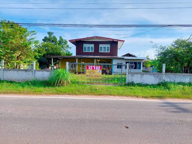 ขายด่วนบ้านเดี่ยว  2 ชั้น 185 ตร.วา ใกล้รีสอร์ทหญิงลี ลั่นล่า  นาโพธิ์  บุรีรัมย์  ZT840