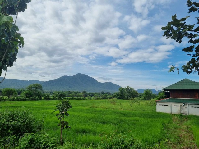 BH3798 ให้เช่าทาวน์โฮม Eigen พระราม 9 – อ่อนนุช ทำเลดี ใกล้ทางด่วน รถไฟฟ้า และแหล่งชุมชน เดินทางสะดวก ใกล้สวนหลวง ร.9