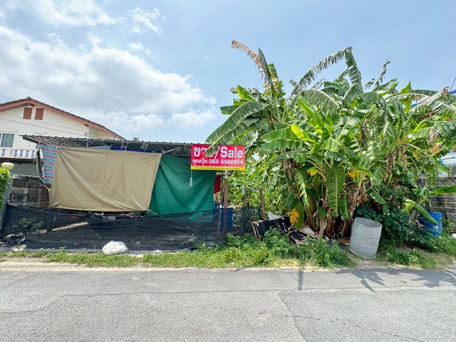 ขายที่ดินเปล่าทำเลดีถมแล้ว ที่เปล่าพุทธมณฑลสาย 2 กรุงเทพ  ต.บางแคเหนือ อ.ภาษีเจริญ กรุงเทพฯ