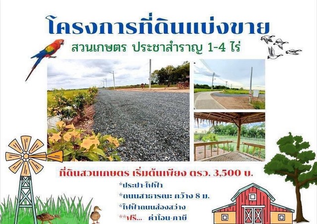 ขายที่ดิน ทำสวนเกษตร แบ่งขาย 1-4 ไร่ ประชาสำราญ คลองสิบสอง หนองจอก กรุงเทพ