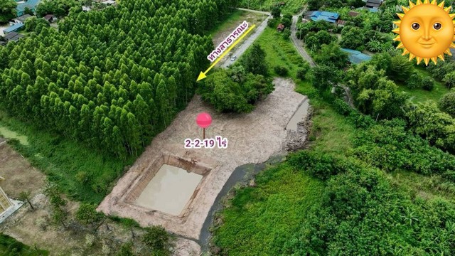 ขายที่ดินพนัสนิคม ชลบุรี ขายที่ดิน ตำบลนามะตูม อำเภอพนัสนิคม ชลบุรี ขายที่ดินเหมาะทำบ้านสวนเกษตร ขนาด 2-2-19 ไร่ ถมแล้ว ห่างแยกพนัส 5 นาทีโทร. 095-196-4242 (คุณจุ๊)Line ID : jll689WhatsApp : wa.me/66951964242 FB page : https://www.facebook.com/ChulaluckHomeliving/ที่ตั้ง ตำบลนามะตูม อำเภอพนัสนิคม จังหวัดชลบุรีรายละเอียด- ที่ดินขนาด 2-2-19 ไร่- ไฟฟ้า ประปา ถนนคอนกรีต ถึงหน้าแปลงที่ดิน - ที่ดินถมแล้ว มีขุดสระน้ำ สำหรับ เลี้ยงปลา 1 ลูก - เหมาะ