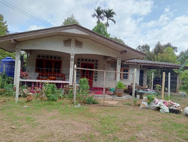 M650507ขายบ้านพร้อมที่ดิน – จังหวัดชุมพร (พร้อมเข้าอยู่ได้ทันที)นำเสนอทรัพย์ราคาคุ้มค่า! บ้านหลังใหญ่พร้อมพื้นดินกว้าง 178 ตารางวา มาพร้อมสวนผลไม้ผสม ให้ผลผลิตทุกปี เหมาะทั้งอยู่อาศัยและทำสวนสร้างรายได้เสริมได้ทันทีรายละเอียดทรัพย์พื้นที่ดิน 178 ตรว.บ้าน 5 ห้องนอน1 ห้องน้ำ1 ห้องโถง1 ห้องครัวใหญ่สภาพพร้อมอยู่ ไม่ต้องซ่อมแซมเยอะ???? จุดเด่นของทรัพย์สวนผลไม้ ให้ผ