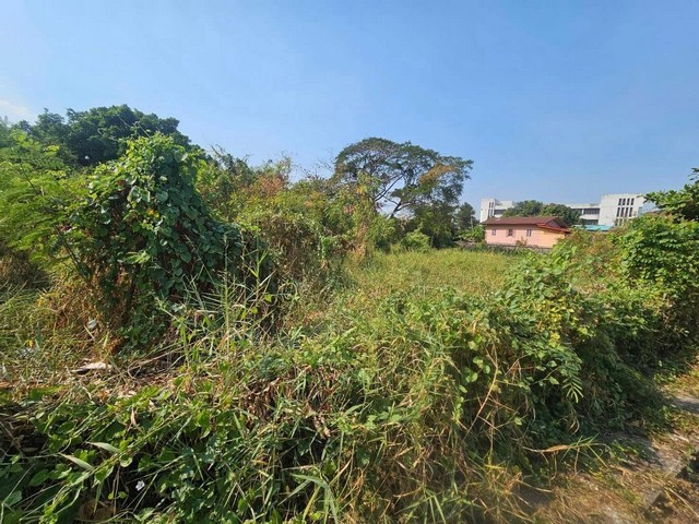 ขายที่ดินลาดพร้าว101 ซอย7ขายที่ลาดพร้าว ขายที่บางกะปิห่าง mrt ลาดพร้าว 101 700 เมตรซอยลาดพร้าว101 แยก7 ต.คลองจั่น อ.บางกะปิ จ.กรุงเทพฯรายละเอียด- เนื้อที่ 2 ไร่ 3 งาน 46 ตารางวา- ผังเมืองสีเหลืองสถานที่ใกล้เคียง- ตลาดนครไท- โรงพยาบาลเวชธานี- เดอะมอลล์บางกะปิ- Big C ลาดพร้าวขายตารางวาละ 96,000 บาทรวม 110,016,000 บาทสอบถามคุณปุ้ยTel : 062-5566954 |Line ID : 0616649897_____________________________________#ที่ดินลาดพร้าว #ที่ดินลาดพร้าว101#ที