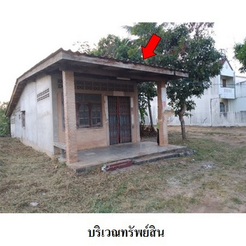   รหัสทรัพย์ (Code ID)  : PMS-8Z6196  ราคา    2,406,000   บาท  เนื้อที่ 1 งาน 73.3 ตร.ว.    ▸ 1 ห้องนอน 1 ห้องน้ำ    ▸ 1 ที่จอดรถ   บ้านหันไปทางทิศ ตะวันออก  พิกัดทรัพย์ : https://maps.app.goo.gl/aQVMkheLie85jgXg9  สถานที่ใกล้เคียง   ▸ใกล้การไฟฟ้าส่วนภูมิภาค สาขาตรัง  ▸ใกล้วัดราษฎร์รื่นรมย์     สอบถามเพิ่มเติม / นัดชม โทร. 097-419-5982(พลอย) โทร. 096-932-4624(ออมสิน) Line : @panaya (มี@ด้านหน้า)  ปรึกษาสินเชื่อฟรี One Stop Service ดูแลตั้งแต่ต้นจนจบบริษัท ปณยาคิดดี จำกัด 