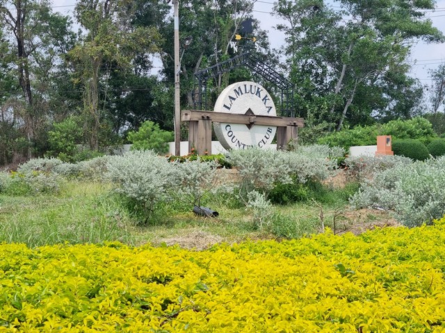  รหัสทรัพย์ (Code ID) :  PM-ALLCG0027  ราคา   2,719,200 บาท (ราคาต่อรองได้) ▸ เนื้อที่  824 ตร.ว (2 ไร่ / 24 ตร.ว) พื้นที่ใช้สอย - ตารางเมตร   ▸ - ห้องนอน - ห้องน้ำ          ▸ 1 ที่จอดรถ   ที่ดินว่างเปล่าวหันไปทางทิศ   พิกัดทรัพย์ :  https://maps.app.goo.gl/qrb9snreWhmziUjW7  สถานที่ใกล้เคียง ▸ใกล้วัดทศทิศาราม ▸ใกล้วัดป่าเจริญราช ▸ใกล้วัดชัยมังคลาราม ▸ใกล้วัดพิรุณศาสตร์  สอบถามเพิ่มเติม / นัดชม โทร. 097-419-5982(พลอย) โทร. 096-932-4624(ออมสิน) Line : @panaya (มี@ด้า