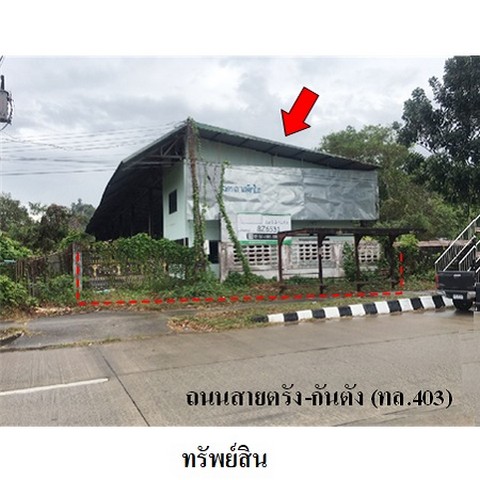   รหัสทรัพย์ (Code ID)  : PMS-8Z6531  ราคา   3,669,300    บาท  ▸ เนื้อที่  3 งาน 41.4 ตร.ว.    บ้านหันไปทางทิศ  ตะวันตก   พิกัดทรัพย์ : https://maps.app.goo.gl/3JXSzVGZCbHXFS5c7  สถานที่ใกล้เคียง   ▸ใกล้โรงเรียนบ้านป่าเดียว  ▸ใกล้วัดแว่นฟ้าธรรมาวาส   สอบถามเพิ่มเติม / นัดชม โทร. 097-419-5982(พลอย) โทร. 096-932-4624(ออมสิน) Line : @panaya (มี@ด้านหน้า)  ปรึกษาสินเชื่อฟรี One Stop Service ดูแลตั้งแต่ต้นจนจบบริษัท ปณยาคิดดี จำกัด 