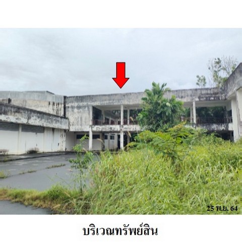   รหัสทรัพย์ (Code ID)  : PMS-8Z0708  ราคา  32,811,000     บาท  ▸ เนื้อที่  31 ไร่ 3 งาน 89.9 ตร.ว.   พิกัดทรัพย์ :  https://maps.app.goo.gl/Y8P9XJVVfLhwxnoG7  สถานที่ใกล้เคียง   ▸ใกล้ตลาดยิ่งดี วัดสิทธิชัยรังสรรค์  ▸ใกล้วิทยาลัยเกษตร ▸ใกล้การไฟฟ้าส่วนภูมิภาคจังหวัดตรัง   ▸ใกล้สำนักงานเทศบาลตำบลคลองเต็ง   สอบถามเพิ่มเติม / นัดชม โทร. 097-419-5982(พลอย) โทร. 096-932-4624(ออมสิน) Line : @panaya (มี@ด้านหน้า)  ปรึกษาสินเชื่อฟรี One Stop Service ดูแลตั้งแต่ต้นจนจบบริษ