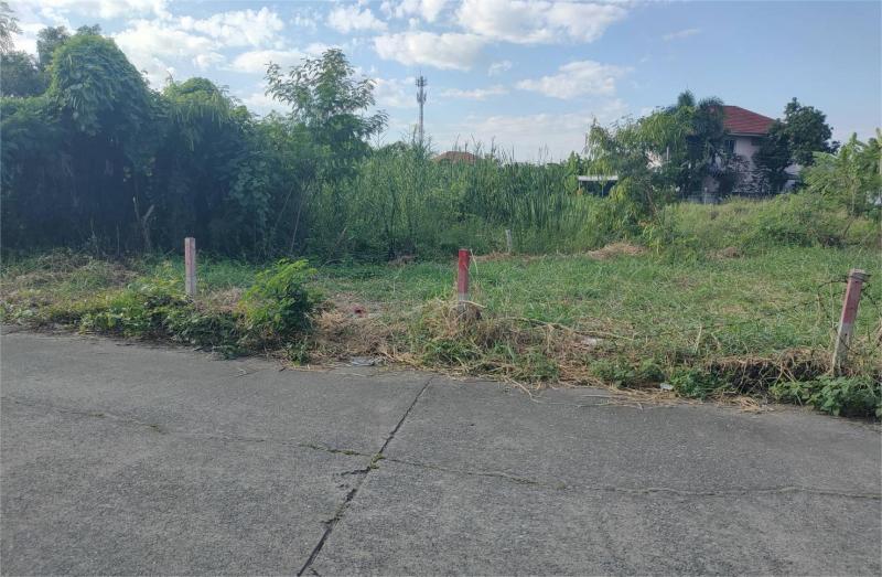 ขายที่ดิน 57.5 ตรว. ติดถนนหน้าหมู่บ้านโดมทอง อ.เมืองปทุมธานี จ.ปทุมธานี