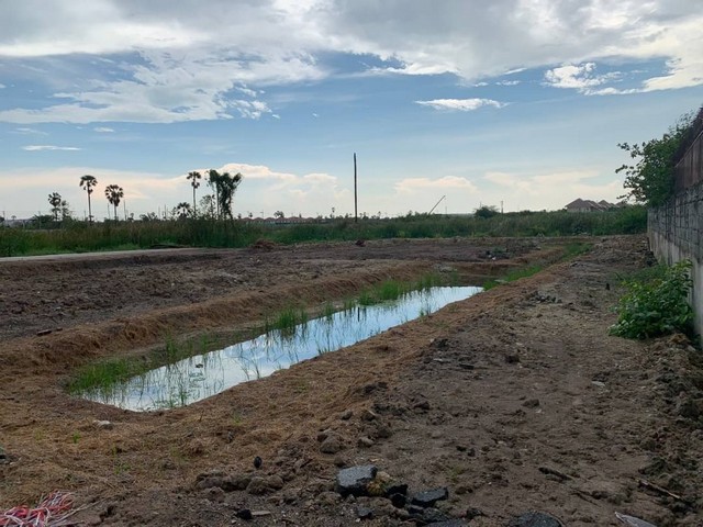 ขายที่ดิน (ถมแล้ว) มีโฉนด ขนาด 177 ตารางวา รูปแปลง 4 เหลี่ยม อยู่ซอยสถาพร เข้าไป 650 เมตร ถึงที่ดินและติดถนนสาธารณะ หากินง่าย ใกล้แหล่งชุมชน ไฟ น้ำ เข้าถึงเรียบร้อย เหมาะแก่การสร้างที่พักอาศัย ห้องพัก เข้าออกได้หลายทางโทรด่วน. 095-196-4242(คุณจุ๊)Line id : jll689WhatsApp : wa.me/66951964242FB page : https://www.facebook.com/ChulaluckHomeliving/ที่ตั้ง : ซอยสถาพร ถนนอ่างศิลา, เสม็ด, เมืองชลบุรี, ชลบุรีจุดเด่น- ทำเลดี เดินทางสะดวก เพียงป