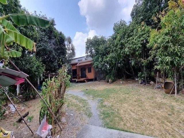 ขายที่ดินพร้อมสิ่งปลูกสร้าง 423 ตรว. ซอยรามคำแหง 50 หัวหมาก 4 เดินทางสะดวก ใกล้ MRT สายสีเหลือง *** ราคาขาย 50,760,000 บาท ( 120,000 บาท/ตรว) (ปรับลดจาก 180,000/ตรว) ติดต่อ:: ชยา โทร/ID Line:: 0942823961   Link Line:: https://line.me/ti/p/3xFA1An8Kcรหัส# T25-80บ้านพร้อมที่ดิน ซอยรามคำแหง 50 หัวหมากซอย 4 **ขายตามสภาพ-- เนื้อที่ 423 ตารางวา  -- หน้ากว้างติดถนนหัวหมาก 27 เมตร-- หน้ากว้างติดถนนซอยหัวหมาก 4 ประมาณ 71 เมตร -- ภายในมีบ้านและ บ้านน็อคดาวน์  -- ซอ