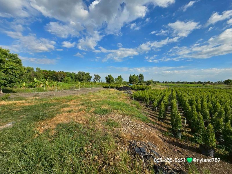 สนใจมาเที่ยวชมโทร ติดต่อ นกได้หลายช่องทางนะคะโทร. 061-494-9665โทร. 063-635-5651 (เบอร์นี้ไลน์เต็มค่ะ)ไลน์ไอดี : @nyland789(ไลน์คลิ๊กแล้วทักมาได้เลยค่ะ) https://lin.ee/R8sP0rj____________________________ที่สวยติดคลอง หลังมศว.องครักษ์ ต.องครักษ์ อ.องครักษ์ จ.นครนายกขายรวม 2 โฉนด 533 ตรว. 8 ล้านหน้ากว้าง 40 เมตร ท้ายติดคลองประมาณ 40 เมตรรูปที่สวย ทำเลดี ค้าขายได้ ถมแล้วบางส่วนที่แถบนี้ส่วนใหญ่ขายกันแปลงใหญ่ๆและเป็นนาเส้