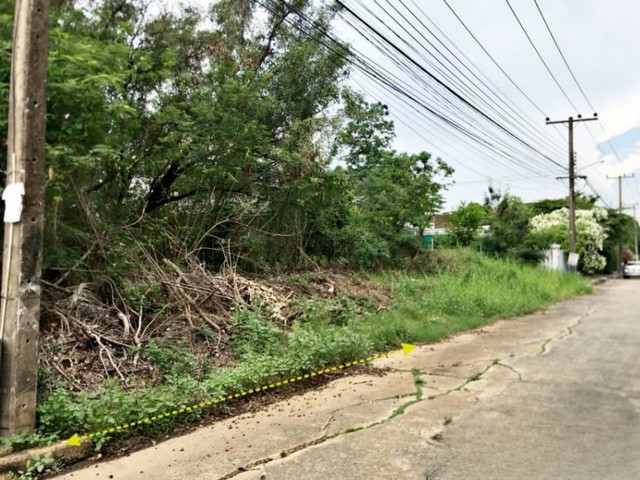 ที่ดินเปล่า เมืองเอก โครงการ 3   พื้นที่ 133 ตร.ว.ซ.เอกรัตน์ 11 ต.หลักหก อ.เมืองปทุมธานี จ.ปทุมธานี