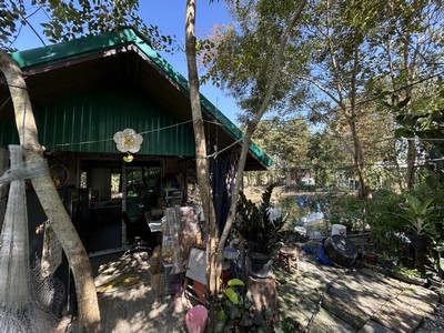 ขายฟาร์มเกษตรอินทรีย์พร้อมใช้ ขนาด 1-1-91.6 ไร่ เหมาะสำหรับ เกษตรกรรุ่นใหม่ ที่ต้องการเริ่มต้นชีวิตที่ยั่งยืน รายได้มั่นคง ฟาร์ม ช.วีรศุ สวนเกษตรอินทรีย์  เหมาะทำ ฟาร์มสเตย์, ฟาร์มท่องเที่ยว หรือพัฒนาต่อยอดเชิงเกษตรครบวงจร  พร้อมระบบสาธารณูปโภคครบ ทำให้คุณสามารถเริ่มทำเกษตรอินทรีย์ต่อได้ทันทีแบบไม่ต้องลงทุนเพิ่มมาก.ที่ตั้ง: 15/2 ม.3 ต.นาเริก อ.พนัสนิคม จ.ชลบุร