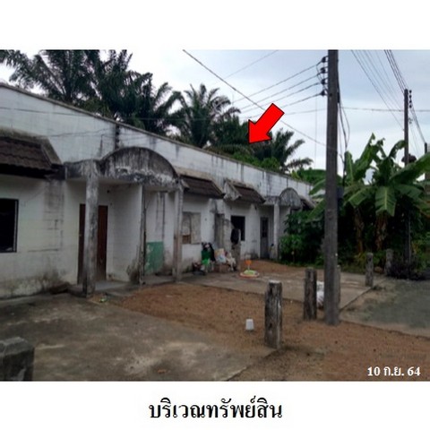   รหัสทรัพย์ (Code ID)  : lek4839  ราคา   7,383,000    บาท  ▸ เนื้อที่  7 ไร่ 99.0 ตร.ว.     บ้านหันไปทางทิศ ตะวันตก   พิกัดทรัพย์ : https://maps.app.goo.gl/XeACBnYCB5ni9Z5R7  สถานที่ใกล้เคียง   ▸ใกล้ตลาดไม้หลา  ▸ใกล้โรงเรียนบ้านห้วยหาร   ▸ใกล้โรงเรียนสาธิตเทศบาลตำบลหินตก   ▸ใกล้ศูนย์วิทยพัฒนาสุโขทัยธรรมาธิราช โรงเรียนเตรียมอุดมศึกษาภาคใต้   สอบถามเพิ่มเติม / นัดชม โทร. 097-419-5982(พลอย) โทร. 096-932-4624(ออมสิน) Line : @panaya (มี@ด้านหน้า)  ปรึกษาสิ