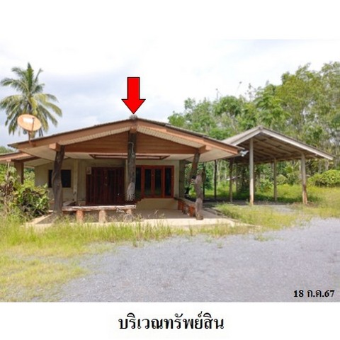 รหัสทรัพย์ (Code ID)  : PMS-3A1863  ราคา    1,164,000   บาท   ▸ เนื้อที่  1 งาน 76.2 ตร.ว.   ▸ 1 ห้องนอน 1 ห้องน้ำ    ▸ 1 ที่จอดรถ   บ้านหันไปทางทิศ ตะวันตก   พิกัดทรัพย์ : https://maps.app.goo.gl/3BYH8t69eo7nRarz9  สถานที่ใกล้เคียง   ▸ใกล้โรงเรียนทุ่งสงวิทยา   สอบถามเพิ่มเติม / นัดชม โทร. 097-419-5982(พลอย) โทร. 096-932-4624(ออมสิน) Line : @panaya (มี@ด้านหน้า)  ปรึกษาสินเชื่อฟรี One Stop Service ดูแลตั้งแต่ต้นจนจบบริษัท ปณยาคิดดี จำกัด 