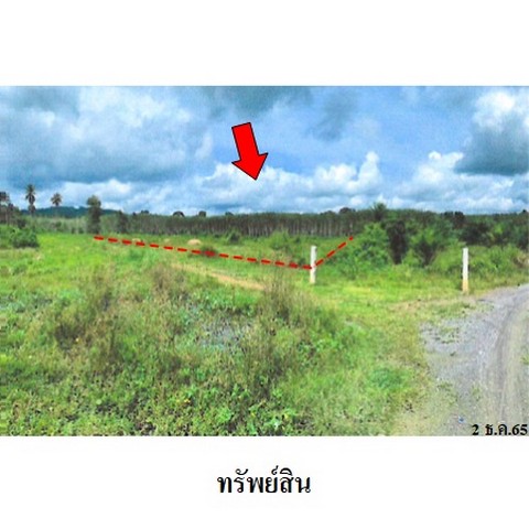  รหัสทรัพย์ (Code ID)  : PMS-3A1864  ราคา   2,149,000   บาท  ▸ เนื้อที่  10 ไร่ 2 งาน 88.0 ตร.ว.     บ้านหันไปทางทิศ ตะวันออก  พิกัดทรัพย์ : https://maps.app.goo.gl/HP3sxYDguvpUPmRC8  สถานที่ใกล้เคียง   ▸ใกล้โรงเรียนทุ่งสงวิทยา    สอบถามเพิ่มเติม / นัดชม โทร. 097-419-5982(พลอย) โทร. 096-932-4624(ออมสิน) Line : @panaya (มี@ด้านหน้า)  ปรึกษาสินเชื่อฟรี One Stop Service ดูแลตั้งแต่ต้นจนจบบริษัท ปณยาคิดดี จำกัด 