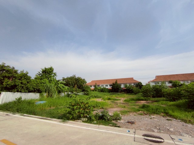 ขายที่ดินบางพลี ใกล้ถนนเทพารักษ์ เพียง 750 ม. เหมาะสำหรับสร้างบ้านพักอาศัยรายละเอียดที่ดิน- ขายแปลงละ 1 ไร่ - ราคา 10 ล้านบาท (25,000 บาท/ตรว.)- หรือ ซื้อเป็นแปลงใหญ่รวม 4-0-93 ไร่ ราคา 25,000 บาท/ตรว.- ผังเมืองสีส้ม (สมุทรปราการ)- ที่ดินสวยทำเลศักยภาพ ใกล้แหล่งชุมชน- ใกล้ สนามบินสุวรรณภูมิ 17 กม., ใกล้ Mega Bangna 8 กม.- ใกล้ รร.สารสาสน์วิเทศสุวรรณภูมิ, รพ.บางนา 5, ตลาดสดบางพลี****************************************สนใจ โ