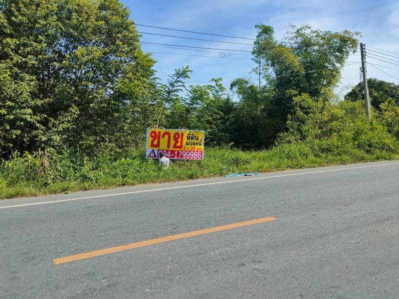 ขายที่ดินเปล่า 2-0-92 ไร่ ติดถนนทางหลวง 3351 อ.บางปลาม้า จ.สุพรรณบุรี