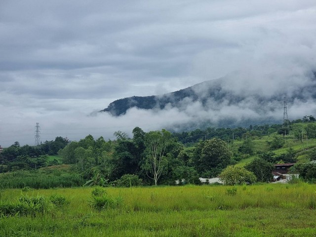 ที่ดินเจ้าของขายเองขายที่ดินสวยเขาค้อ 5 ไร่ 32 ตร.วา ราคา 35 ล้านบาท วิวภูเขา ติดถนนหลวง ใกล้แหล่งท่องเที่ยว หน้ากว้าง 50 เมตร โฉนดครุฑแดง พร้อมโอน  ถมมาแล้ว 10 ปี ดินแน่นพร้อมใช้ ตำแหน่ง: ต.แคมป์สน อ.เขาค้อ จ.เพชรบูรณ์ ขนาดพื้นที่: 5 ไร่ 32 ตารางวา เลขที่โฉนด 729  ราคาเสนอขาย: 35,000,000 บาท (เฉลี่ยเพียงตร.วาละ ~17,000 บาท) เอกสาร: โฉนดครุฑแดง พร้อมโอน จุดเด่น: ติดถนนทางหลวงท้องถิ่น (ทล.12) ห