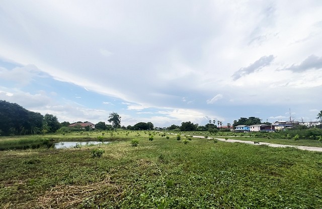  รหัสทรัพย์ (Code ID) :  PM-NBIGM0098  ราคา   178,167,000 บาท (ราคาต่อรองได้) ▸ เนื้อที่   14,084.10 ตร.ว (35 ไร่ / 84.1 ตร.ว)  พื้นที่ใช้สอย - ตารางเมตร   ▸ - ห้องนอน - ห้องน้ำ         ▸ 1 ที่จอดรถ   ที่ดินว่างเปล่าหันไปทางทิศ   พิกัดทรัพย์ :  https://maps.app.goo.gl/ptvvbXYtEbjrQ1J77  สถานที่ใกล้เคียง ▸ใกล้วัดชินวรารามวรวิหาร ▸ใกล้วัดเจตวงศ์ ▸ใกล้วัดป่ากลางทุ่ง ▸ใกล้วัดบางนางบุญ  สอบถามเพิ่มเติม / นัดชม โทร. 097-419-5982(พลอย) โทร. 096-932-4624(ออมสิน) Line : @panaya (มี@�