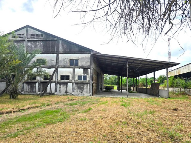 ##ขายและให้เช่าโรงงานพนัสนิคมชลบุรี#ขายพื้นที่พร้อมโกดังติดถนน ใกล้นิคมอุตสาหกรรมอมตะ ชลบุรี????ต. หนองเหียง, อำเภอพนัสนิคม จังหวัดชลบุรี✅ขนาดโกดัง  1050 ตารางเมตร ⛳พื้นที่เขียว✴️เนื้อที่ทั้งหมด 4ไร่  1 งาน 92 ตารางวา✴️น้ำไม่ท่วม มีรั้วรอบ รถใหญ่เข้าออกสะดวก✴️ไฟ 3 เฟส????ห่างจากนิคมอมตะชลบุรี 25 กม.????ให้เช่าเดือนละ 60,000 บาท      จ่ายล่วงหน้า 2 เดือน       ค่าประกัน 50,000 บาท????ขาย 18 �