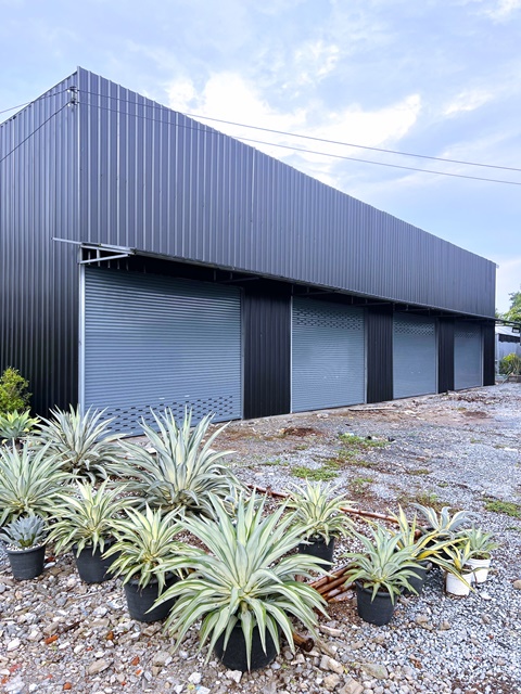 ศูนย์กระจายสินค้า TAYWIN 1.1 กม.ให้เช่าโกดังใหม่ 300 ตร.ม.สโมสรกีฬาเอชแอนด์เอ 1.0 ม. 75 ตร.วา.ติดถนนใหญ่  แยกสารีบุตร-ทับยาว เหมาะกับคลังสินค้า เดินทางสะดวก รถเข้าได้ทุกชนิด 49,998 B-M. เลียบคลองมอญ ถ.สารีบุตร-ฉลองกรุง ฉลองกรุง1-10 New warehouse for rent 300 sq.m. Saribut Chalong Krung Road Sariputra ChalongKrung1-10 H&A Sports Club 1m. 75 sq.wa. TAYWIN Distribution Center 1.1 km. on the main road Saribut Thap Yao intersection Suitable for warehousing easy access for all types of vehicles 49,998 B-M. Along Khlong Mon   เลียบคลองมอญ ถ. สารีบุตร-ฉลองกรุง  แขวงทับยาว เ